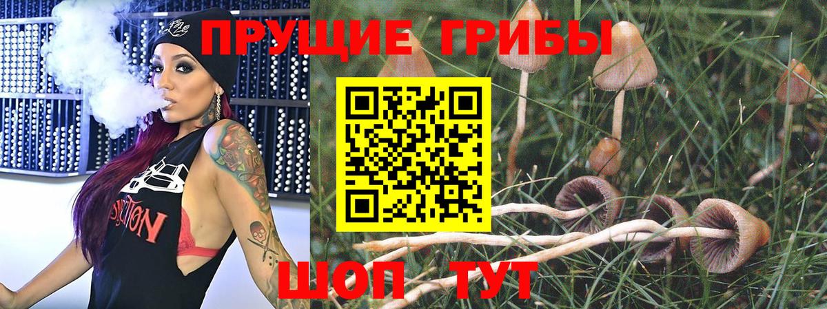 Псилоцибиновые грибы Cubensis Мелеуз