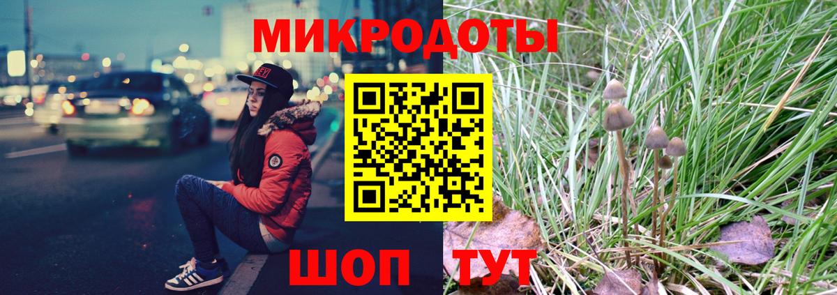 Галлюциногенные грибы Psilocybine cubensis  Вход с VPN  Мелеуз 